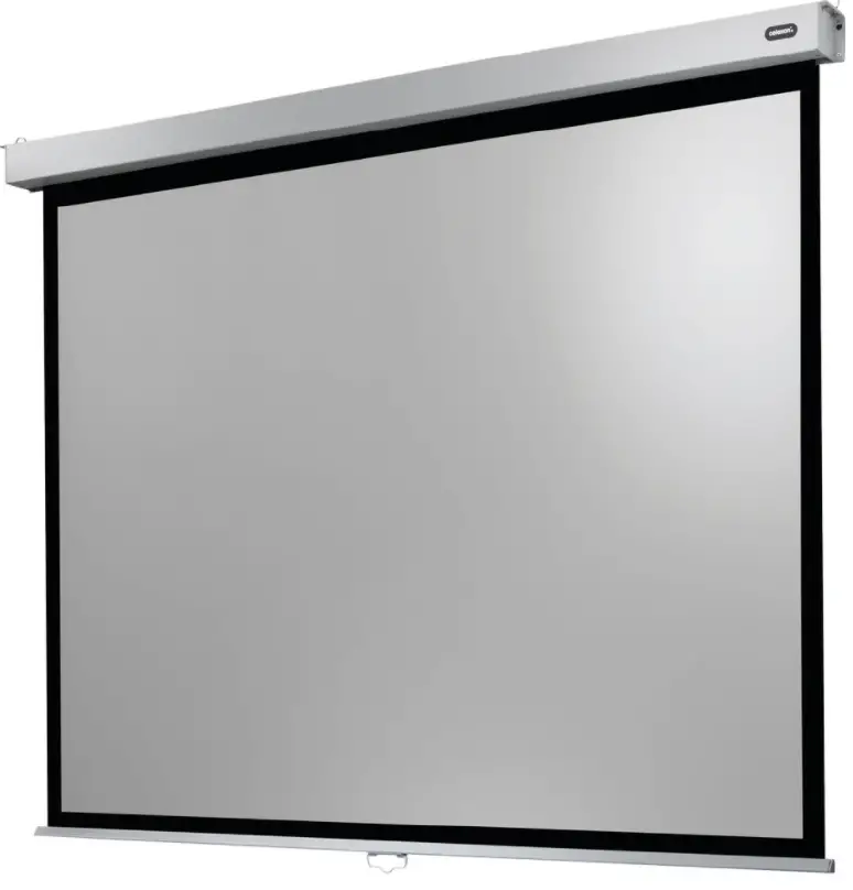 celexon Manual Professional Plus Projector Screen