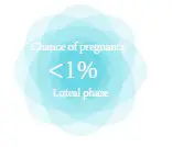 diagramInterface imperii SmartWatch Ovulation Control IP68 Dulcinea