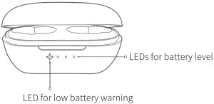 LED on Charging Case