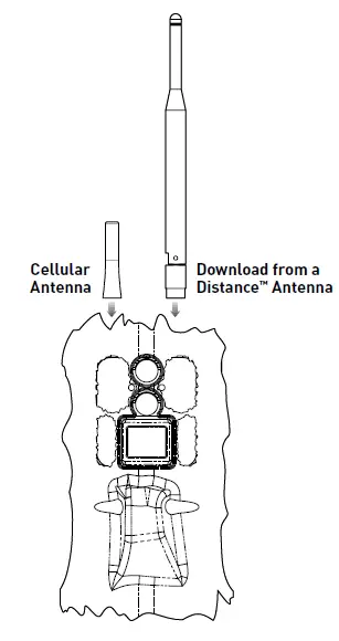 Install the Antennas