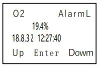 deflong Multifunctional Gas Detector - Alarm data storage
