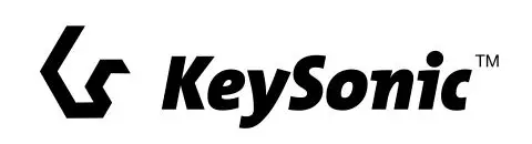 key sonic logo