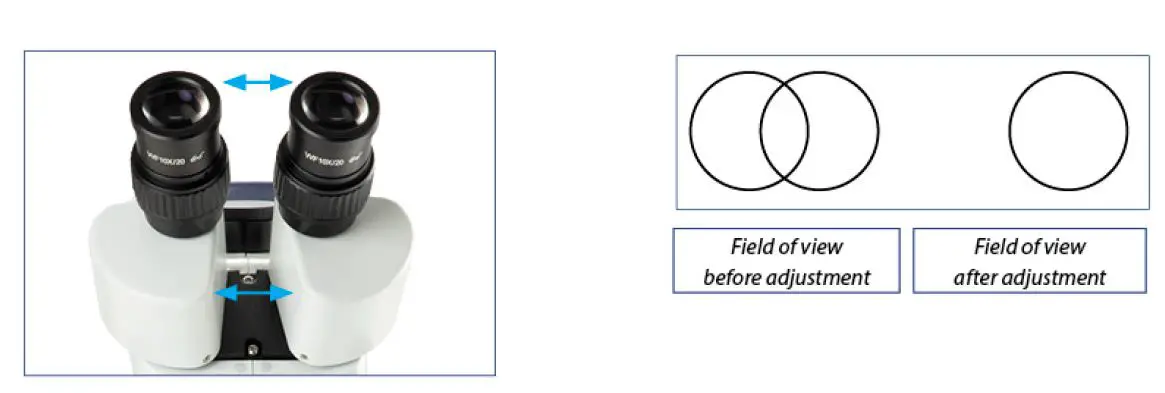 euromex- SB.1302 -StereoBlue -Microscope- User -3