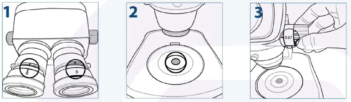 euromex- SB.1302 -StereoBlue -Microscope- User -4