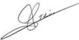 PARTYSPACE SETLC1010COL Outdoor LED Strings - Signeture