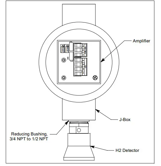 RKI 65-2462RK Hydrogen Transmitter - figure 1