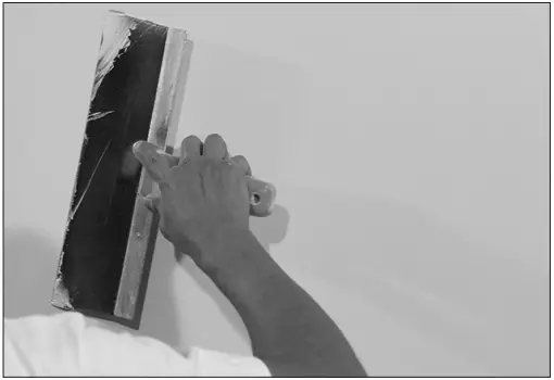 SONANCE IS8T Invisible Series Speaker F12