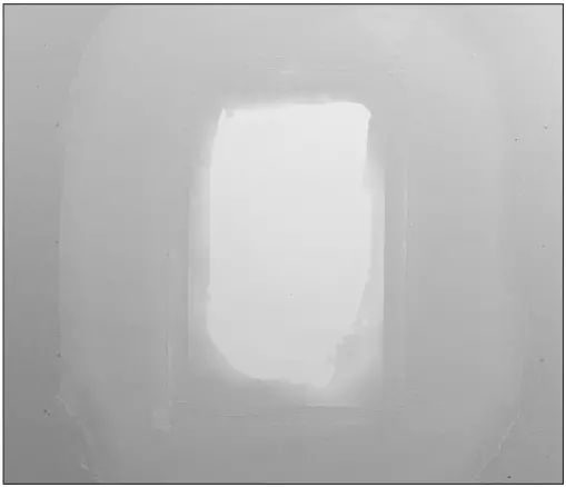 SONANCE IS8T Invisible Series Speaker F9