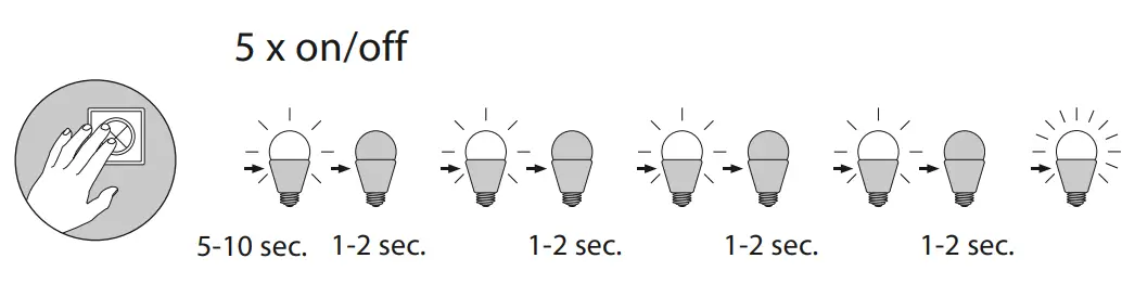 Paul-Neuhaus-Q-CORA-Pendant-LED-Light-FIG6