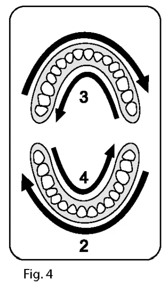 ARDESTO ETB-003DOG Electric Toothbrush for Kids - CONFIGURATION 3