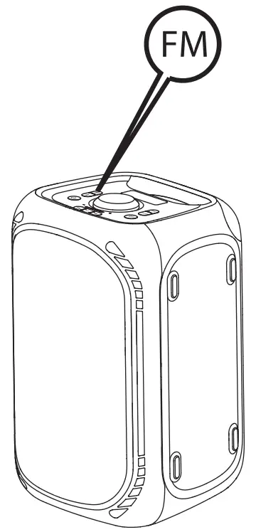 F D PA2322 Wireless Party Speaker - fig 8