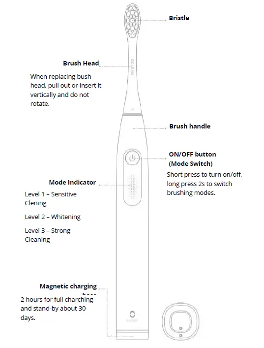 oclean F1-Electric-Toothbrush-FIG- (1)