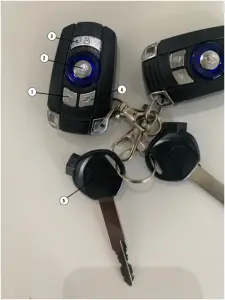 DAYMAK Beast 2.0 - Remote Alarm