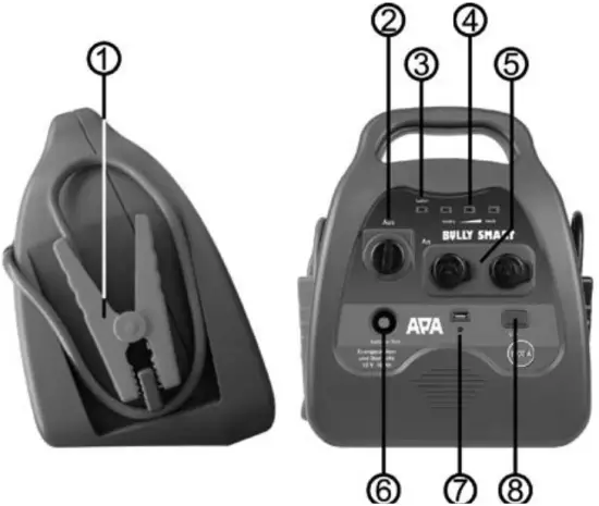 APA Figure 1 Overview 1