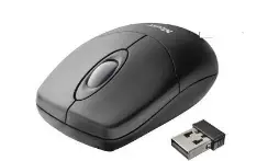 Dongguan Imlong Electronic YL-WM1807 Wireless Mouse PRO