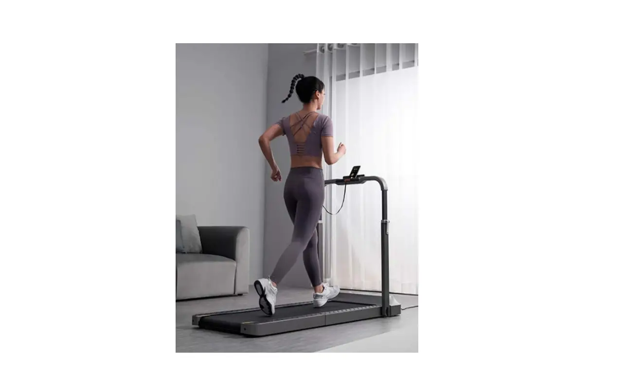 Kingsmith Trr2f Walkingpad Treadmill User Manual