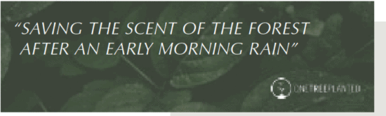 UMAGE CUNA Pendant Lamp - FIg 14