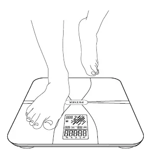 PRTSER-FI2108ULB-Carpet-Feet-Smart-Body-Fat-Scale-fig13