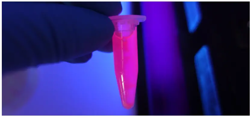 amino-labs-PLATE-EXTRACT-IT KIT-FIG-1