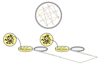 amino-labs-PLATE-EXTRACT-IT KIT-FIG-18