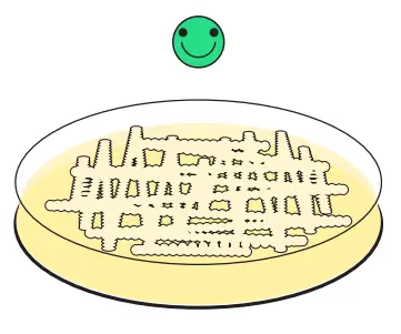 amino-labs-PLATE-EXTRACT-IT KIT-FIG-20