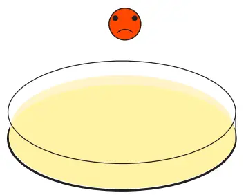 amino-labs-PLATE-EXTRACT-IT KIT-FIG-21