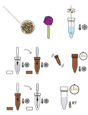 amino-labs-PLATE-EXTRACT-IT KIT-FIG-23