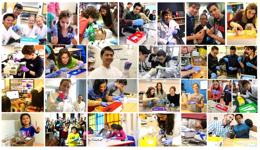 amino-labs-PLATE-EXTRACT-IT KIT-FIG-28