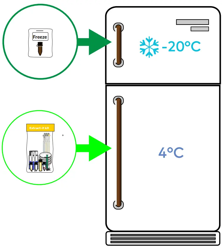 amino-labs-PLATE-EXTRACT-IT KIT-FIG-4