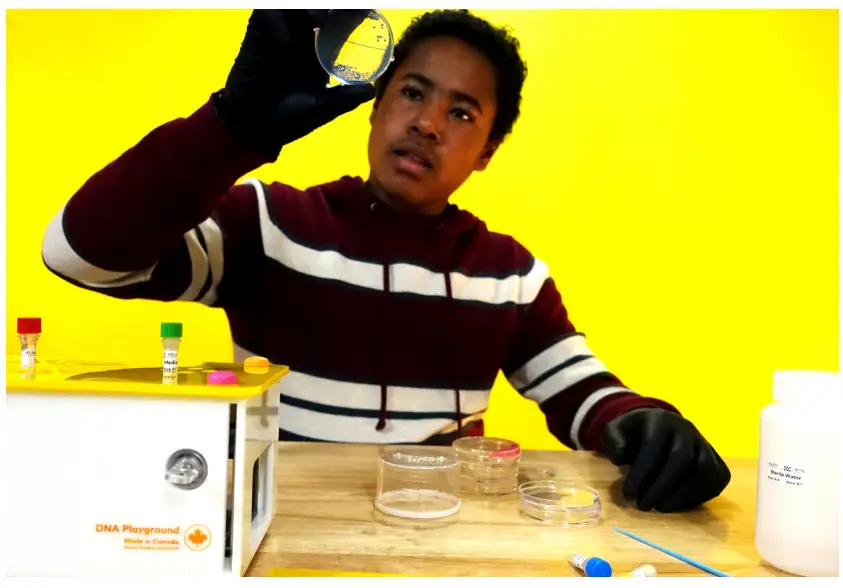 amino-labs-PLATE-EXTRACT-IT KIT-FIG-8