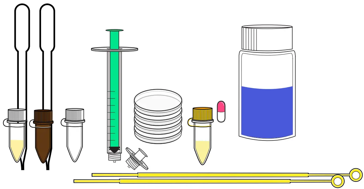 amino-labs-PLATE-EXTRACT-IT KIT-PRODUCT