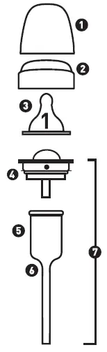 Dr. Brown’s-Natural-Flow-Options-Bottle-fig-1