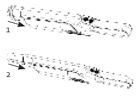 DOMO DO239S Handheld Vacuum Cleaner 4