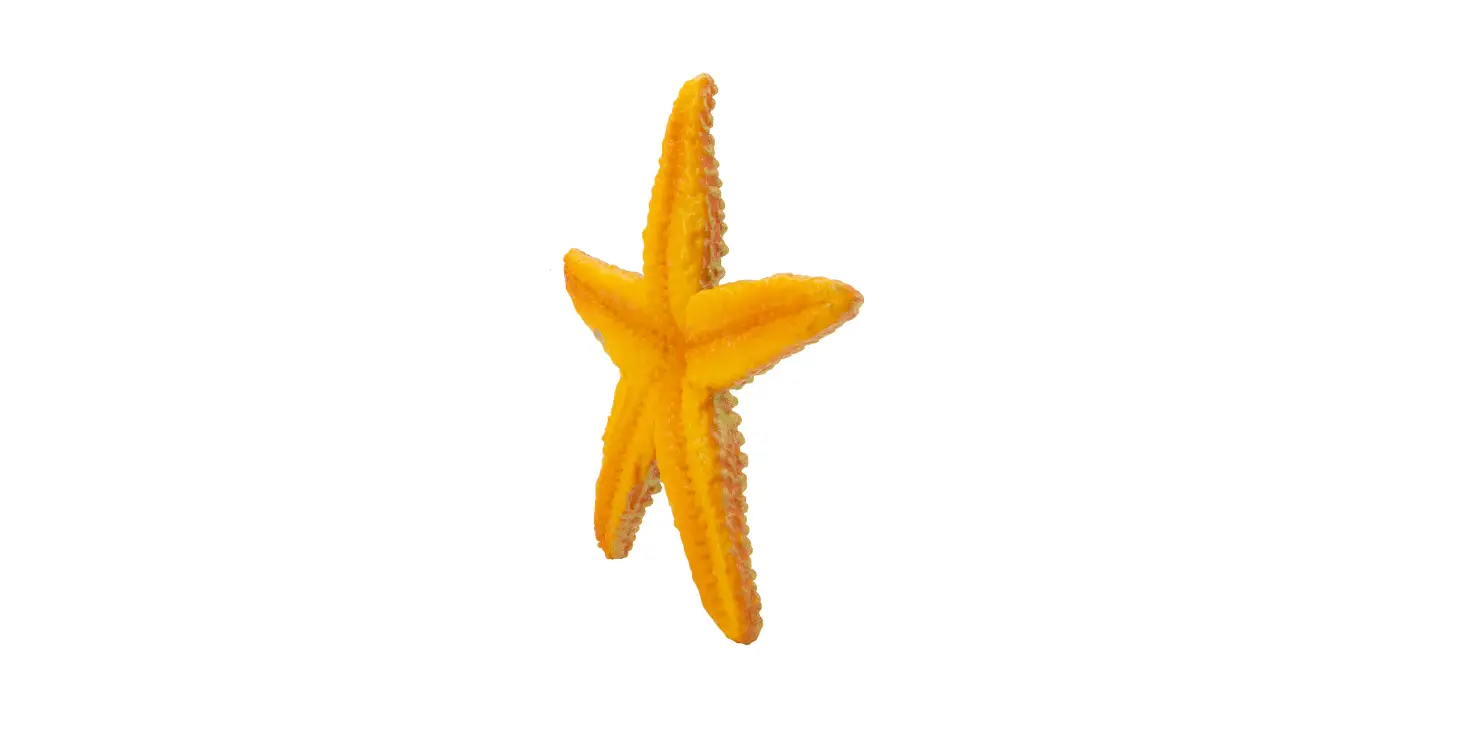 Zoinks Starfish Lagoon Playset Instruction Manual