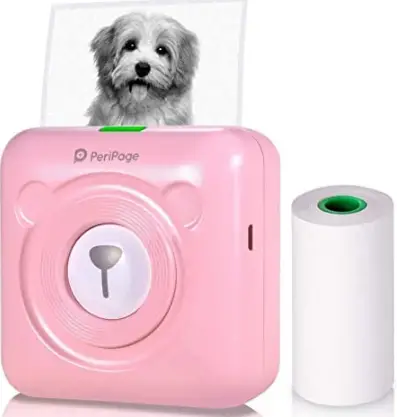 peripage-ALD-A200-Mini-Printer-PRODUCT