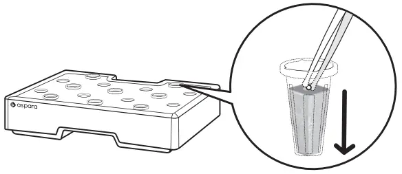 ASSEMBLE PLANTING CAPSULES