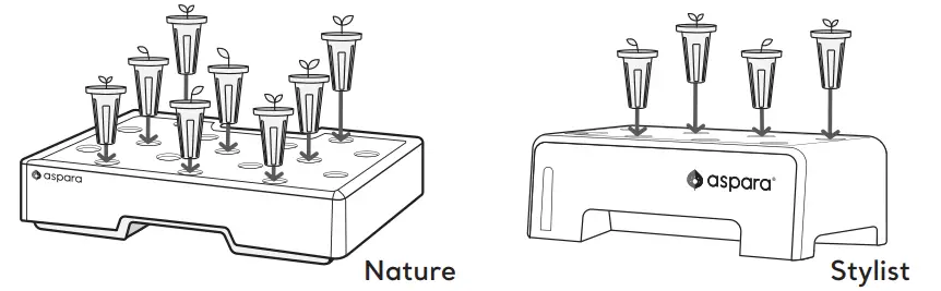 ASSEMBLE PLANTING CAPSULES