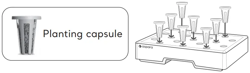 ASSEMBLE PLANTING CAPSULES