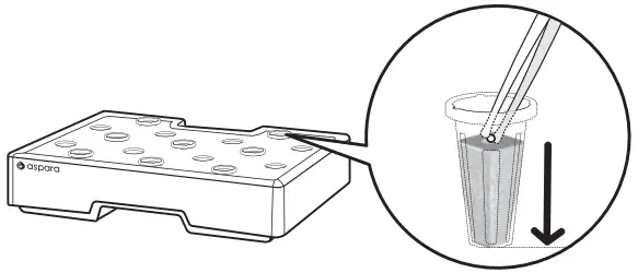 ASSEMBLE PLANTING CAPSULES