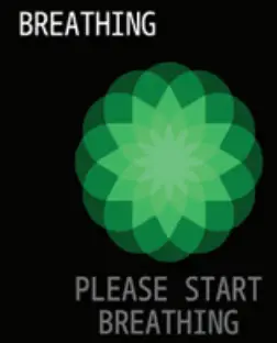 WINGS Strive 200 Smart Watch - Brathing