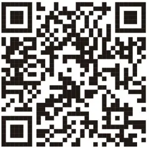 SONY WH-XB910N Wireless Noise Canceling Stereo-- Stereo Headseth