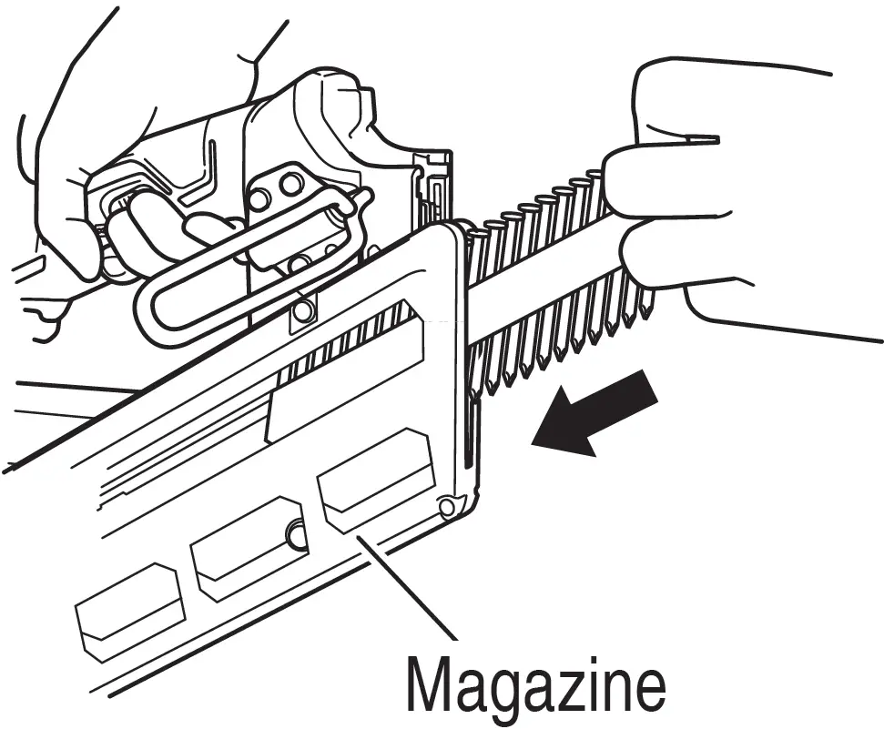 2-Action Nail Feeding 01