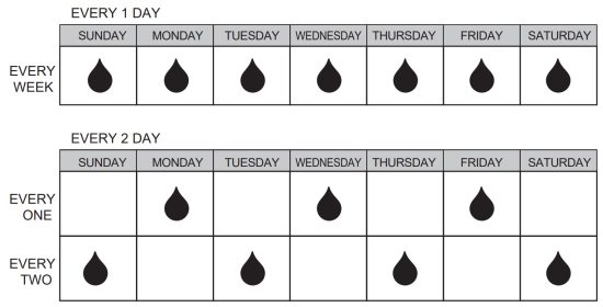 dewenwils HDWT02B Automatic Water Timer - table