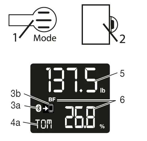 CVSHealth BF 720 Bathroom Scale FIG 2