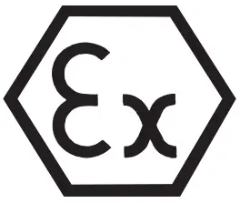 Ex Icon