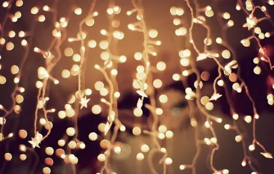 SOLIGH- 1V242-Christmas-Lights-