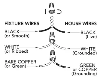 Hunter 19496 Saddle Creek 3 Light Cluster 2