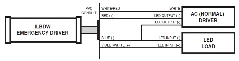 IOTA-ILBDW-FBS-Food-and-Beverage-Safe-Wet-Location-Emergency-Light-02