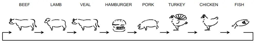 TechnoLine WS 1050 BBQ Thermometer -