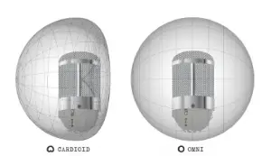 the dome of a building